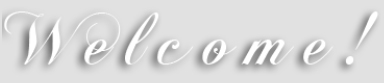 Charleston Womens Wellness Center
